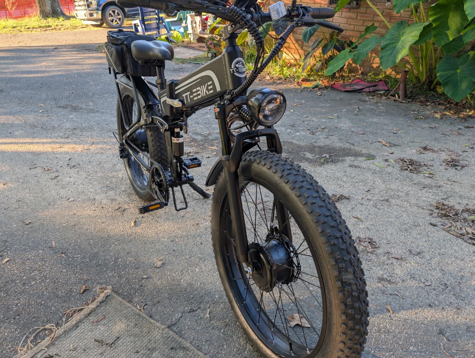 1000 watt electric bicycle Seagull 1000 Watt Electric Mountain Bicycle MTB - Ecotric